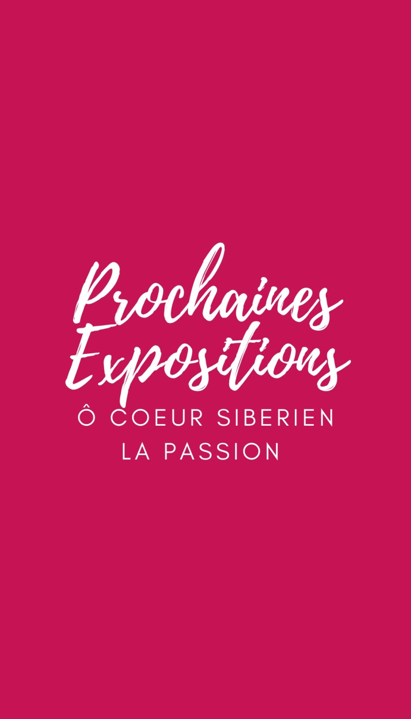 EXPOSITION CHAT SIBEIREN TOULOUSE